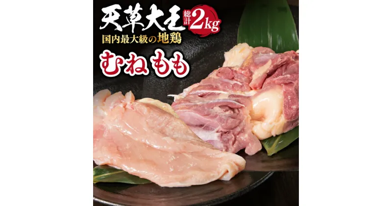 【ふるさと納税】【数量限定】熊本県産 天草大王 地鶏 計2kg ( もも ・ むね ) 各1kg 鶏肉 小分け 国産【あそ大王ファーム株式会社】[YCF002]