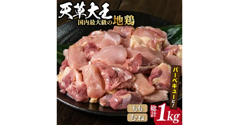 【ふるさと納税】【数量限定】熊本県産 天草大王 地鶏 バーベキュー用カット肉 計1kg 鶏肉 もも むね 国産 【あそ大王ファーム株式会社】[YCF004]