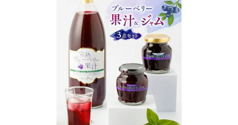 【ふるさと納税】【化粧箱入】ブルーベリー果汁 1000ml & ジャム 2個 セット ブルーベリー 熊本 山都【社会福祉法人 御陽会 サポートハウス 明星学園】[YBM008]