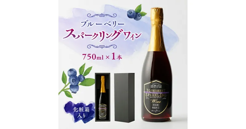 【ふるさと納税】【化粧箱入】スパークリングワイン 750ml ブルーベリー ワイン 熊本 山都【社会福祉法人 御陽会 サポートハウス 明星学園】[YBM010]