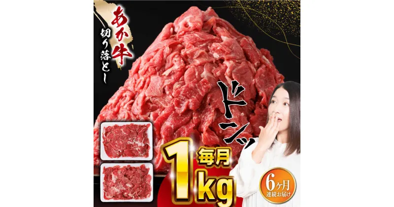 【ふるさと納税】【全6回定期便】熊本県産 あか牛 切り落とし 合計6kg (500g×2P) 熊本 赤牛 褐牛 あかうし 褐毛和種 肥後 冷凍 国産 牛肉【五右衛門フーズ】[YBZ007]