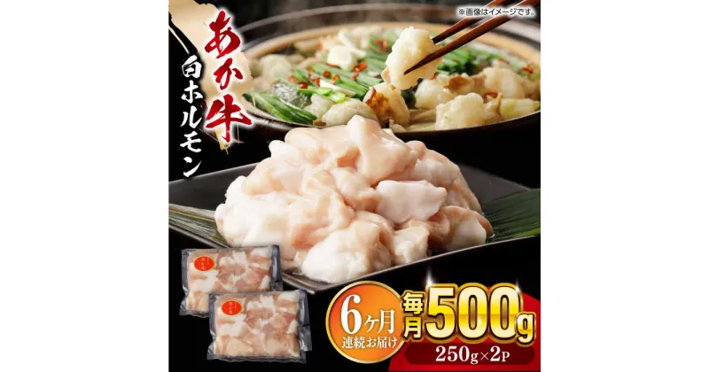 【ふるさと納税】【全6回定期便】熊本県産 あか牛 白ホルモン 合計3kg (250g×2P) 熊本 赤牛 褐牛 あかうし 褐毛和種 肥後 冷凍 国産 牛肉【五右衛門フーズ】[YBZ008]