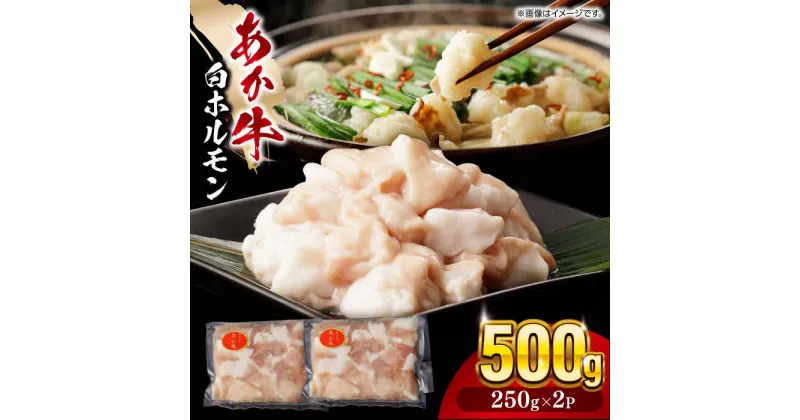 【ふるさと納税】熊本県産 あか牛 白 ホルモン 計500g (250g×2P) 熊本 赤牛 褐牛 あかうし 褐毛和種 肥後 冷凍 国産 牛肉【五右衛門フーズ】[YBZ010]