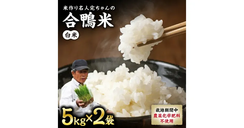 【ふるさと納税】【先行予約】【令和6年産】合鴨米 白米 計10kg ( 5kg × 2袋 ) 米作り名人完ちゃんの合鴨米 栽培期間中農薬化学肥料不使用 熊本県産 [YCT001]