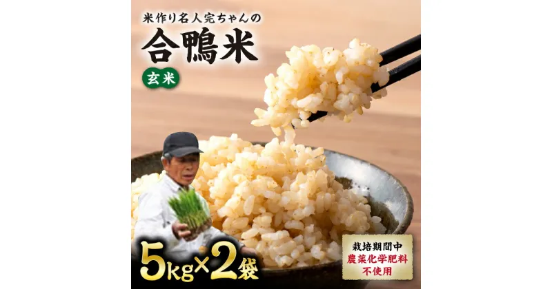 【ふるさと納税】【先行予約】【令和6年産】合鴨米 玄米 計10kg ( 5kg × 2袋 ) 米作り名人完ちゃんの合鴨米 栽培期間中農薬化学肥料不使用 熊本産[YCT002]