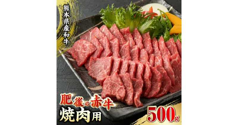 【ふるさと納税】肥後の赤牛 焼肉 500g やきにく 焼き肉 赤身 贅沢 熊本 赤牛 褐牛 あかうし 褐毛和種 肥後 冷凍 国産 牛肉【やまのや】[YDF005]