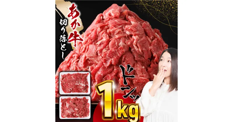 【ふるさと納税】熊本県産 あか牛 切り落とし 計1kg (500g×2P) 熊本 赤牛 褐牛 あかうし 褐毛和種 肥後 冷凍 国産 牛肉【五右衛門フーズ】[YBZ009]