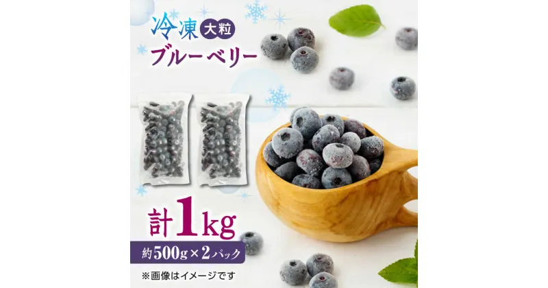 【ふるさと納税】【数量限定】冷凍ブルーベリー 大粒 計1kg (約500g×2パック) 熊本県産 山都町産 ブルーベリー フルーツ スムージー 果物 小分け 国産【興梠農園】[YBQ003]