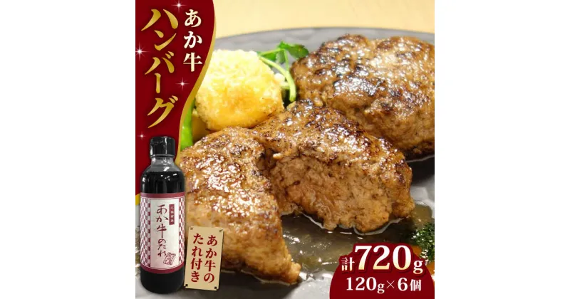 【ふるさと納税】【日本ギフト大賞熊本賞受賞！】あか牛 100％ハンバーグ セット 120g×6個 冷凍 個包装 タレ付き 熊本 赤牛 褐牛 あかうし 褐毛和種 肥後 冷凍 国産 牛肉【有限会社 三協畜産】[YCG003]