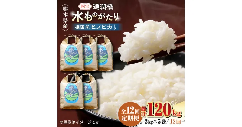 【ふるさと納税】【全12回定期便】令和5年産 通潤橋 水ものがたり 棚田米 10kg (2kg×5袋) お米 白糸台地 熊本産 特別栽培米 定期便【一般社団法人 山都町観光協会】[YAB019]