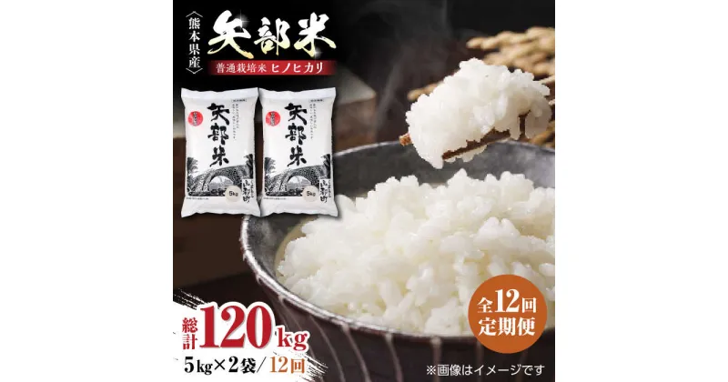 【ふるさと納税】【全12回定期便】令和5年産 矢部米 普通栽培米 10kg (2kg×5袋) お米 白糸台地 熊本産 特別栽培米 定期便【一般社団法人 山都町観光協会】[YAB020]