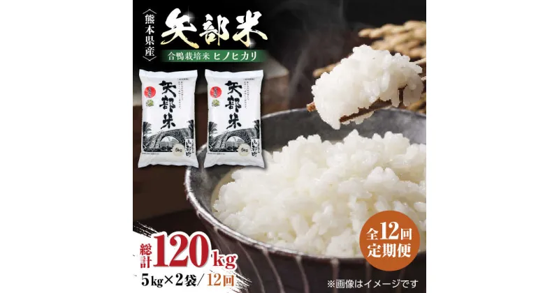 【ふるさと納税】【全12回定期便】令和5年産 矢部米 合鴨栽培米 10kg (2kg×5袋) お米 白糸台地 熊本産 特別栽培米 定期便【一般社団法人 山都町観光協会】[YAB021]