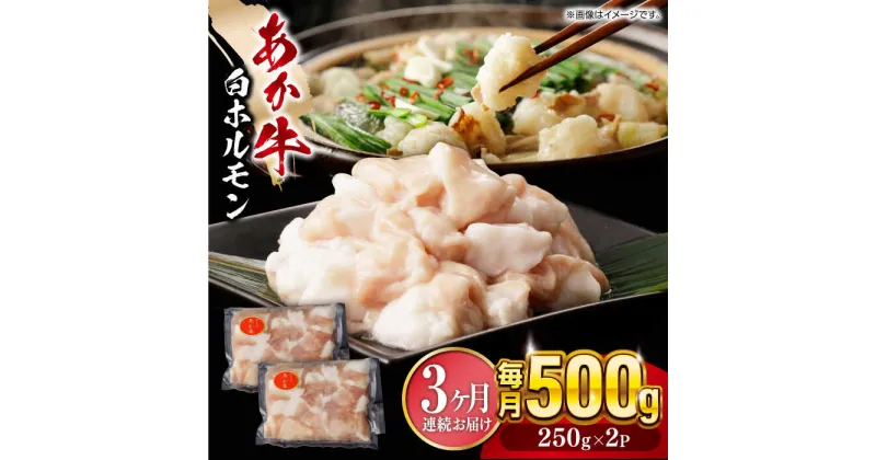 【ふるさと納税】【全3回定期便】熊本県産 あか牛 白 ホルモン 合計1.5kg (250g×2P) 熊本 赤牛 褐牛 あかうし 褐毛和種 肥後 冷凍 国産 牛肉【五右衛門フーズ】[YBZ019]