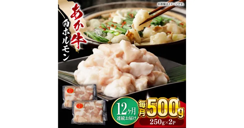 【ふるさと納税】【全12回定期便】熊本県産 あか牛 白 ホルモン 合計6kg(250g×2P) 熊本 赤牛 褐牛 あかうし 褐毛和種 肥後 冷凍 国産 牛肉【五右衛門フーズ】[YBZ020]