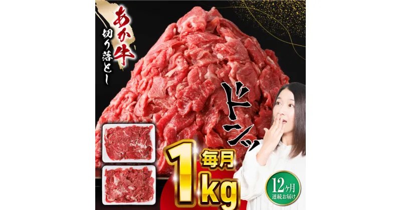 【ふるさと納税】【全12回定期便】熊本県産 あか牛 切り落とし 合計12kg (500g×2P) 熊本 赤牛 褐牛 あかうし 褐毛和種 肥後 冷凍 国産 牛肉【五右衛門フーズ】[YBZ022]