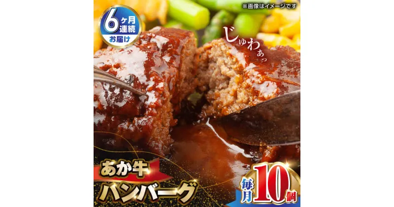 【ふるさと納税】【全6回定期便】肥後の赤牛 ハンバーグ 150g×10個 熊本 赤牛 ジューシー 褐牛 あかうし 褐毛和種 肥後 冷凍 国産 牛肉【やまのや】[YDF012]