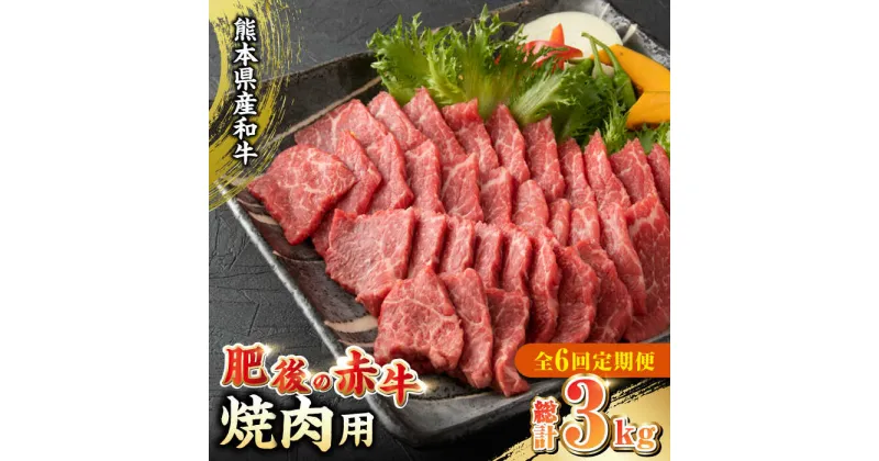 【ふるさと納税】【全6回定期便】肥後の赤牛 焼肉用 500g やきにく 焼き肉 贅沢 熊本 赤牛 褐牛 あかうし 褐毛和種 肥後 冷凍 国産 牛肉【やまのや】[YDF014]