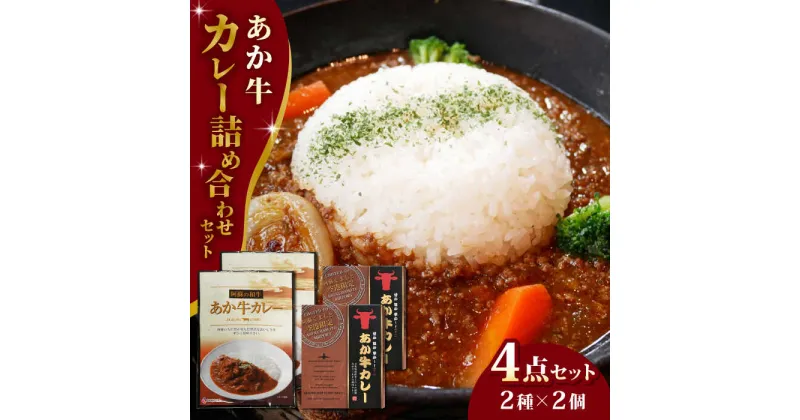 【ふるさと納税】熊本県産 あか牛 カレー詰め合わせセット 熊本 赤牛 褐牛 あかうし 褐毛和種 肥後 冷凍 国産 牛肉【有限会社 三協畜産】[YCG046]