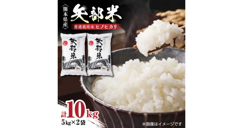 【ふるさと納税】令和5年産 矢部米 普通栽培米 10kg (5kg×2袋) お米 熊本産【一般社団法人 山都町観光協会】[YAB032]