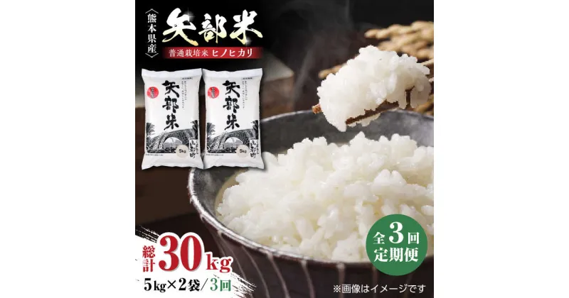 【ふるさと納税】【全3回定期便】令和5年産 矢部米 普通栽培米 10kg (5kg×2袋) お米 熊本産 定期便【一般社団法人 山都町観光協会】[YAB033]