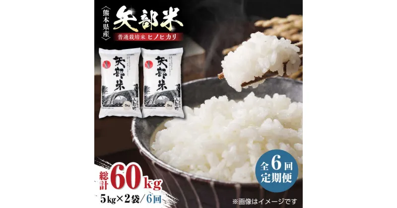 【ふるさと納税】【全6回定期便】令和5年産 矢部米 普通栽培米 10kg (5kg×2袋) お米 熊本産 定期便【一般社団法人 山都町観光協会】[YAB034]