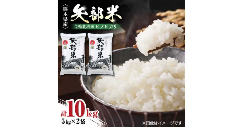 【ふるさと納税】令和5年産 矢部米 合鴨栽培米 10kg (5kg×2袋) お米 合鴨農法 合鴨米 熊本産【一般社団法人 山都町観光協会】[YAB035]