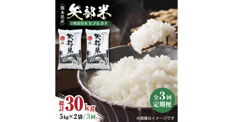 【ふるさと納税】【全3回定期便】令和5年産 矢部米 合鴨栽培米 10kg (5kg×2袋) お米 合鴨農法 合鴨米 熊本産 定期便【一般社団法人 山都町観光協会】[YAB036]