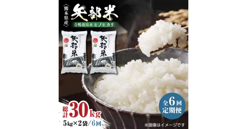 【ふるさと納税】【全6回定期便】令和5年産 矢部米 合鴨栽培米 10kg (5kg×2袋) お米 合鴨農法 合鴨米 熊本産 定期便【一般社団法人 山都町観光協会】[YAB037]