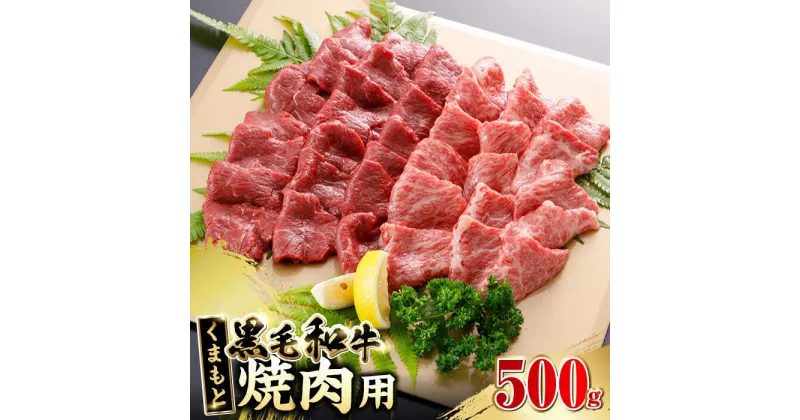 【ふるさと納税】くまもと黒毛和牛 焼肉用 500g やきにく 焼き肉 国産 冷凍 熊本産 贅沢 牛肉【やまのや】[YDF022]