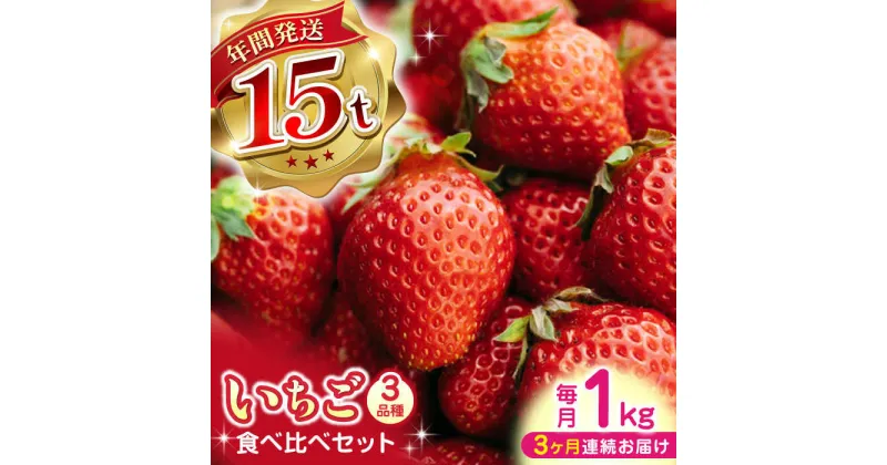 【ふるさと納税】【先行予約】【全3回定期便】いちご 食べ比べ セット 3品種 総計3.0kg ( 250g × 4P × 3回 ) 農園直送 産地直送 熊本県産 山都町産 イチゴ 苺 ストロベリー フルーツ 果物 【なかはた農園】[YBI003]