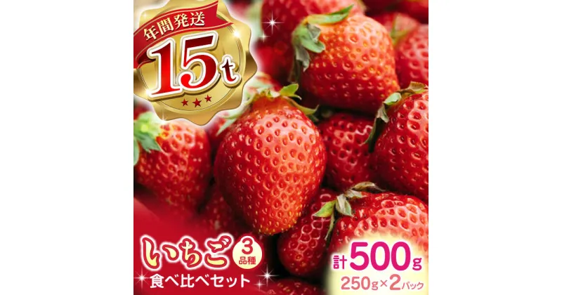 【ふるさと納税】【2024年12月〜順次発送】いちご 食べ比べ セット 3品種 計500g ( 250g × 2P ) 農園直送 産地直送 熊本県産 山都町産 イチゴ 苺 ストロベリー フルーツ 果物 【なかはた農園】[YBI001]