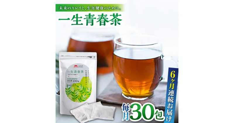 【ふるさと納税】【全6回定期便】一生青春茶 30包 サプリ サプリメント 神の草 日本山人参 ヒュウガトウキ ティーバッグ【ひなたふぁーむ】[YBG006]