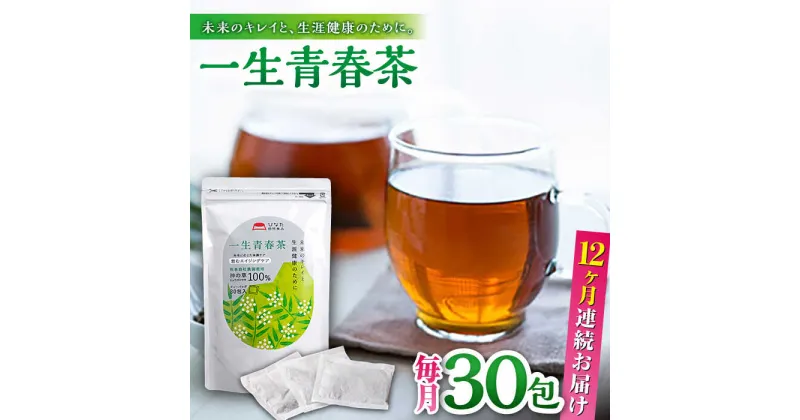 【ふるさと納税】【全12回定期便】一生青春茶 30包 サプリ サプリメント 神の草 日本山人参 ヒュウガトウキ ティーバッグ【ひなたふぁーむ】[YBG007]