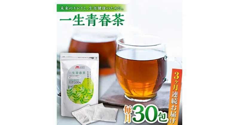 【ふるさと納税】【全3回定期便】一生青春茶 30包 サプリ サプリメント 神の草 日本山人参 ヒュウガトウキ ティーバッグ【ひなたふぁーむ】[YBG005]