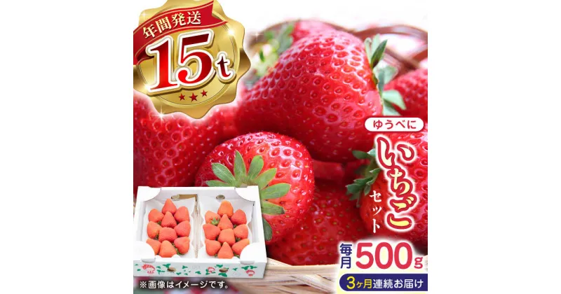 【ふるさと納税】【先行予約】【全3回定期便】熊本県産 ゆうべに いちご セット 250g×2P 農園直送 産地直送 山都町産【なかはた農園】[YBI045]