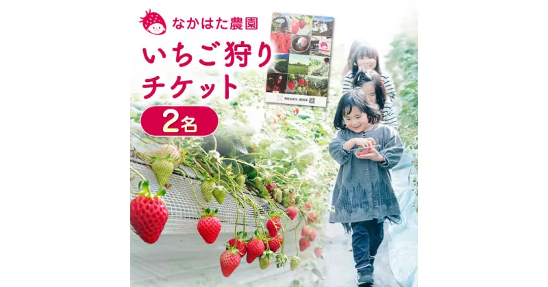 【ふるさと納税】いちご狩りチケット 2名 体験 ペア 熊本 山都町 産地直送 熊本県産 山都町産 いちご イチゴ 苺 フルーツ 果物 【なかはた農園】[YBI026]