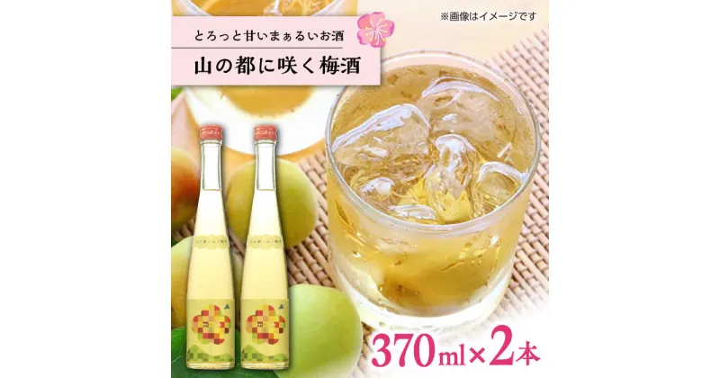 【ふるさと納税】【梅酒品評会受賞】山の都に咲く梅酒 370ml 2本 お酒 地酒 梅酒 お中元 お歳暮 熊本県 山都町【通潤酒造株式会社】[YAN047]