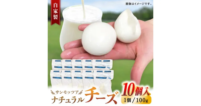 【ふるさと納税】自家製 ナチュラルチーズ サンモッツア 10個 ( 100g × 10個 ) / チーズ モッツァレラチーズ 乳製品 熊本 山都町【山の未来舎】[YBV009]