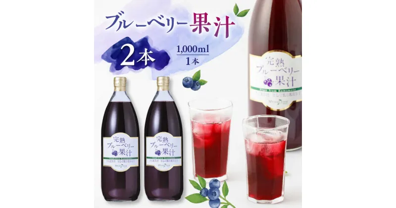 【ふるさと納税】ブルーベリー果汁 1000ml 2本 ジュース 濃縮【社会福祉法人 御陽会 サポートハウス 明星学園】[YBM013]