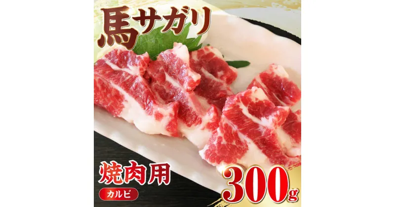 【ふるさと納税】【数量限定】馬サガリ 300g カルビ 焼肉 熊本 馬肉 冷凍【やまのや】[YDF025]