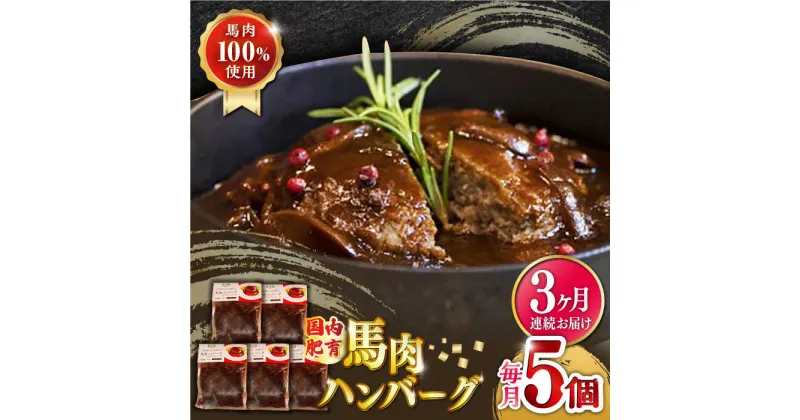 【ふるさと納税】【全3回定期便】国内肥育 冷凍 馬肉ハンバーグ 計1kg ( 200g × 5個 ) デミグラスソース入り 小分け 個包装 惣菜 湯煎 熊本【有限会社 丸重ミート】[YAK025]