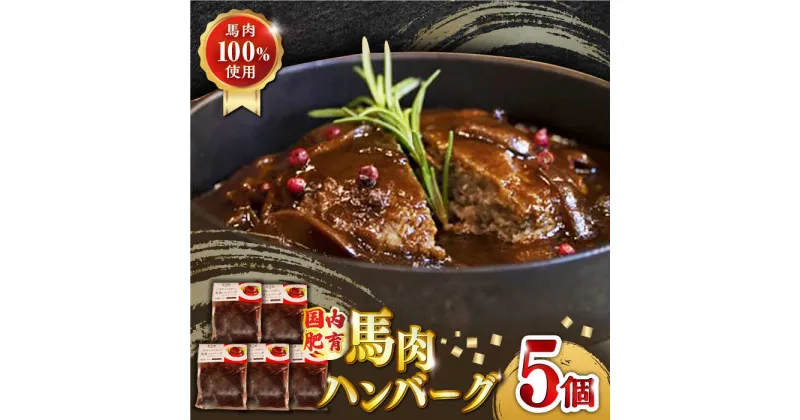 【ふるさと納税】国内肥育 冷凍 馬肉ハンバーグ 計1kg ( 200g × 5個 ) デミグラスソース入り 小分け 個包装 惣菜 湯煎 熊本【有限会社 丸重ミート】[YAK012]