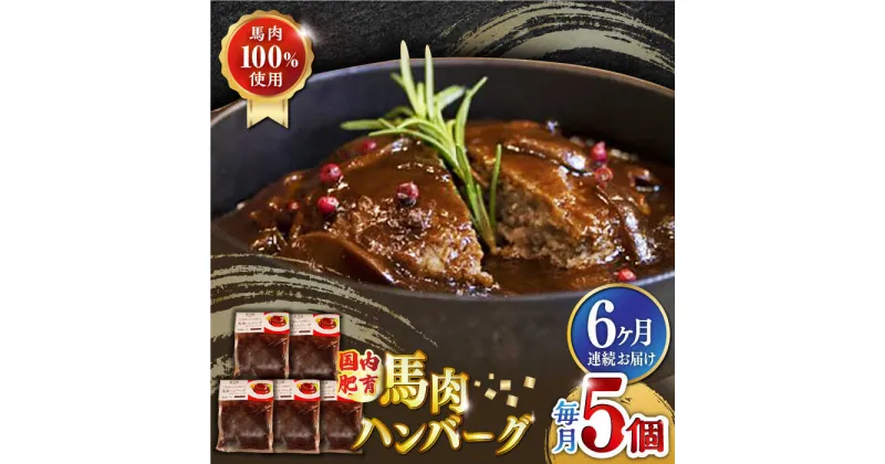 【ふるさと納税】【全6回定期便】国内肥育 冷凍 馬肉ハンバーグ 計1kg ( 200g × 5個 ) デミグラスソース入り 小分け 個包装 惣菜 湯煎 熊本【有限会社 丸重ミート】[YAK038]