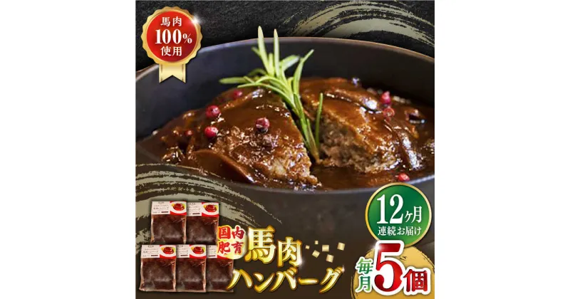 【ふるさと納税】【全12回定期便】国内肥育 冷凍 馬肉ハンバーグ 計1kg ( 200g × 5個 ) デミグラスソース入り 小分け 個包装 惣菜 湯煎 熊本【有限会社 丸重ミート】[YAK051]