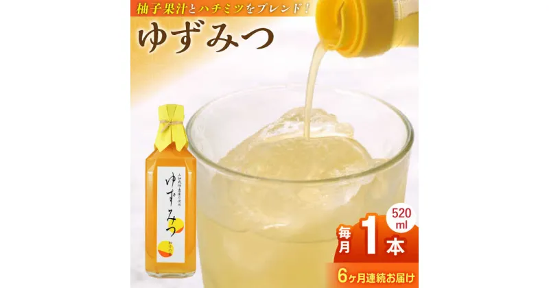 【ふるさと納税】【全6回定期便】ゆずみつ 520ml 1本 柚子みつ 柚子蜜 柚子 ゆず はちみつ ハチミツ 蜂蜜 熊本 山都町【本田農園】[YDL024]