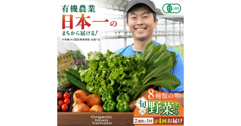 【ふるさと納税】【全4回隔週定期便】有機野菜 オーガニック 8種セット 野菜 有機JAS認定 詰め合わせ オーガニック野菜 熊本県産 産地直送 熊本直送 【株式会社 肥後やまと】[YAF018]