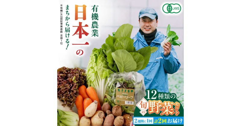 【ふるさと納税】【全2回隔週定期便】有機野菜 オーガニック 12種セット 野菜 有機JAS認定 詰め合わせ オーガニック野菜 熊本県産 産地直送 熊本直送 【株式会社 肥後やまと】[YAF013]