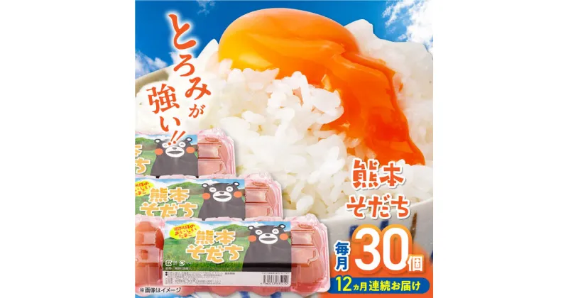 【ふるさと納税】【全12回定期便】熊本そだち 30個入り ( 10個入り × 3パック ) 熊本県産 山都町 たまご 卵 玉子 タマゴ 鶏卵 オムレツ 卵かけご飯 朝食 料理 人気 卵焼き【蘇陽農場】[YBE032]