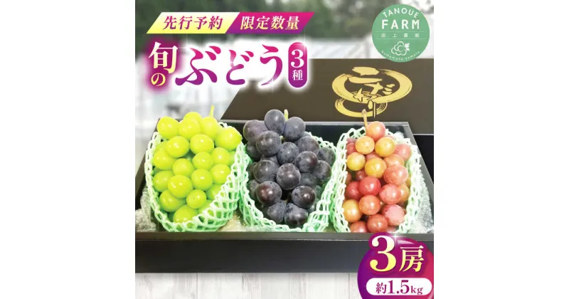 【ふるさと納税】【限定数量】ぶどう 3種 計3房 ( シャインマスカット 1房 ピオーネ 富士の輝 BKシードレス の中から1房 シナノスマイル クイーンニーナ から1房)【田上農園】[YBY003]