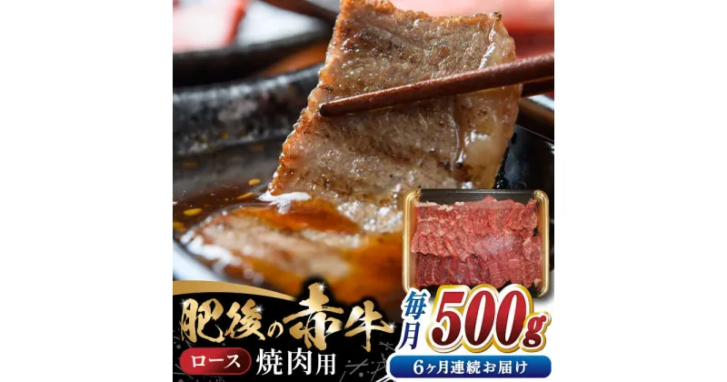 【ふるさと納税】【全6回定期便】 【数量限定】 肥後の赤牛　ロース 焼肉用 500g 【やまのや】[YDF047]